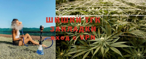 гидра Белоозёрский