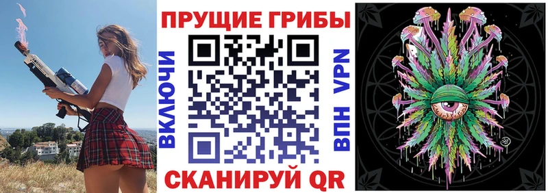 Галлюциногенные грибы ЛСД  блэк спрут ТОР  Пестово 