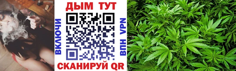 Каннабис гибрид  продажа наркотиков  Пестово 