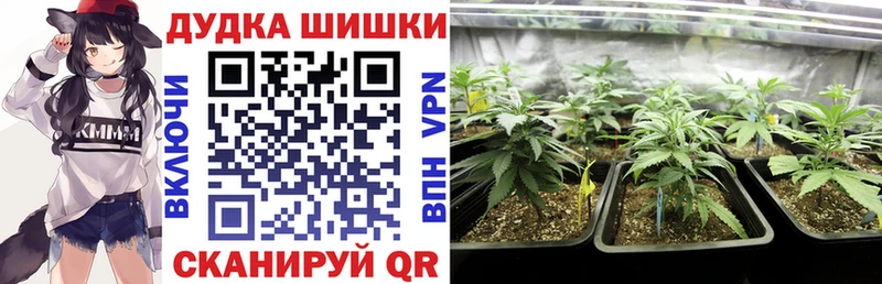 Марихуана ГИДРОПОН Пестово
